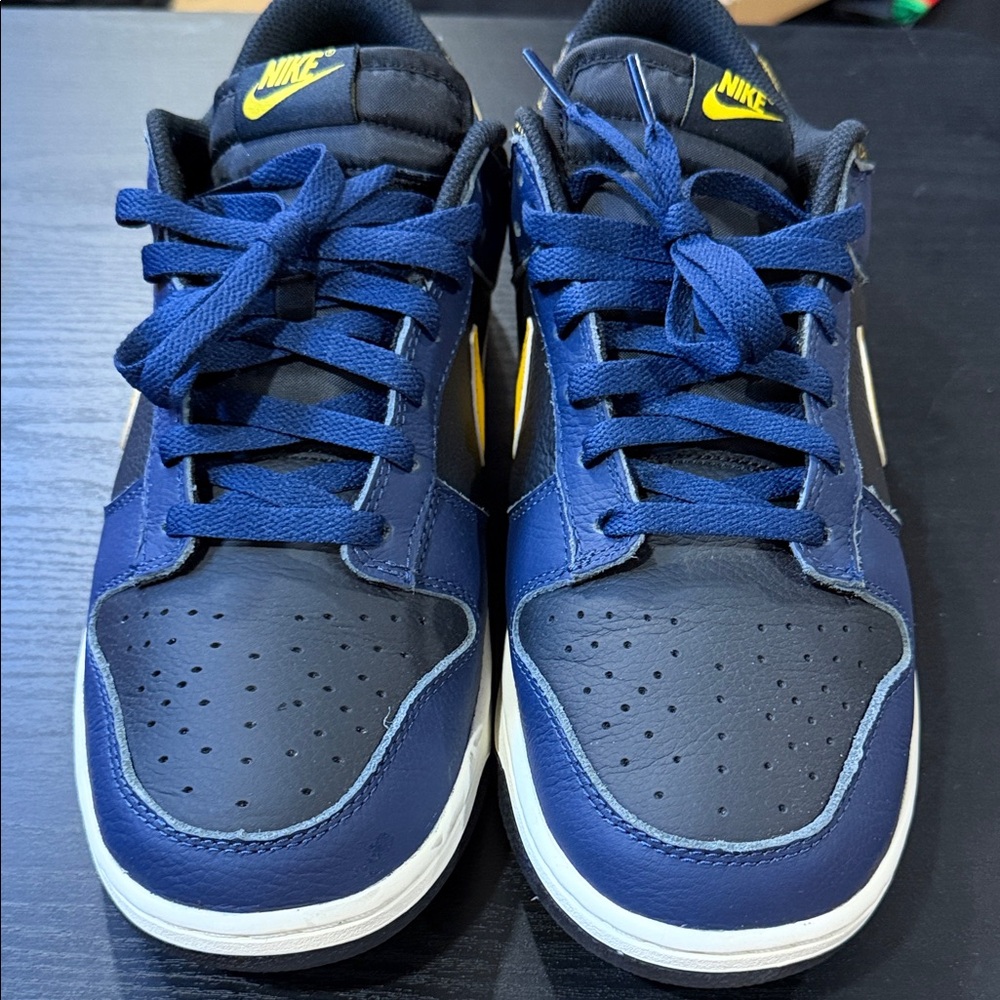 Nike Dunk Low Retro